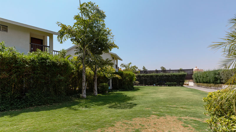 Ara Lawn