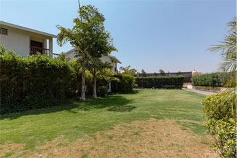 Ara Lawn
