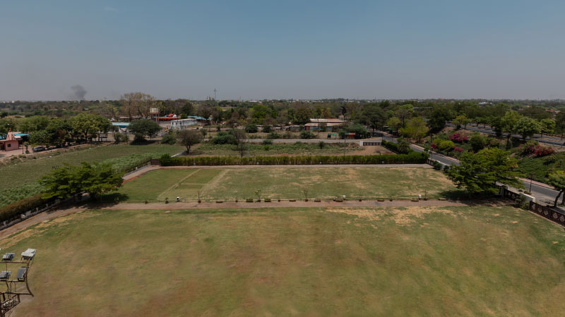 Vega Lawn