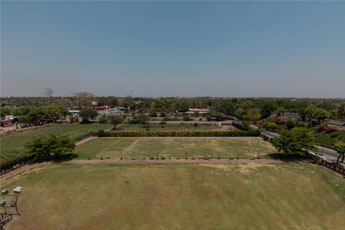 Vega Lawn